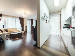 Pronájem bytu 2+kk, Praha - Žižkov, Kališnická, 62 m2