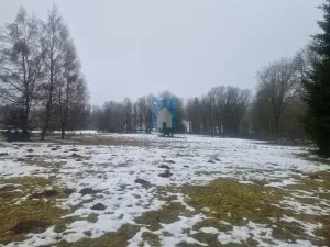 Prodej rodinného domu, Lesná, 245 m2