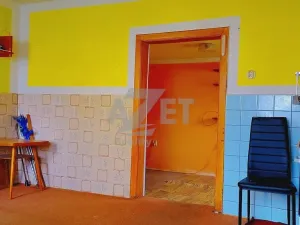 Prodej rodinného domu, Dlouhá Loučka, Sokolská, 114 m2