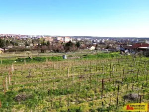 Prodej pozemku pro bydlení, Nový Šaldorf-Sedlešovice, 3428 m2