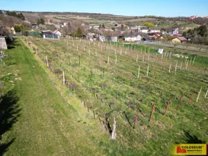 Prodej pozemku pro bydlení, Nový Šaldorf-Sedlešovice, 3428 m2