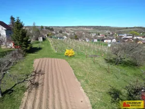 Prodej pozemku pro bydlení, Nový Šaldorf-Sedlešovice, 3428 m2