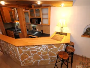 Pronájem bytu 1+kk, Želešice, 24. dubna, 77 m2