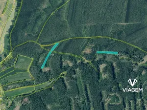 Prodej podílu lesa, Líšťany, 2059 m2
