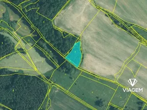 Prodej podílu lesa, Líšťany, 2059 m2