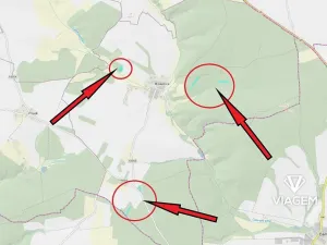 Prodej podílu lesa, Líšťany, 2059 m2