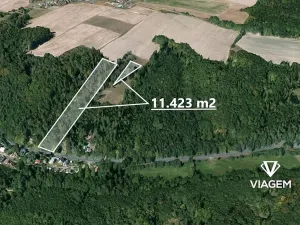Prodej lesa, Horní Lhota, 11423 m2