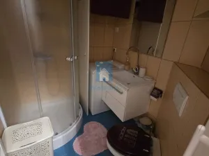 Pronájem bytu 1+kk, Plzeň, Koterovská, 35 m2