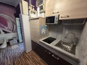 Pronájem bytu 1+kk, Plzeň, Koterovská, 35 m2