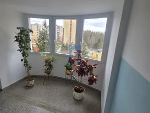 Pronájem bytu 3+1, Plzeň, Tachovská, 70 m2