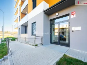 Pronájem bytu 2+kk, České Budějovice - České Budějovice 2, U Boru, 77 m2