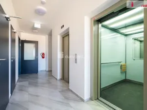 Pronájem bytu 2+kk, České Budějovice - České Budějovice 2, Branišovská, 77 m2