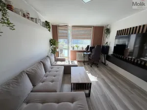 Prodej bytu 3+1, Most, Františka Malíka, 70 m2