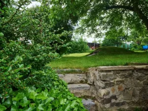 Prodej chalupy, Kosova Hora, 45 m2