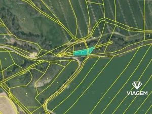 Prodej podílu pole, Rosička, 1295 m2