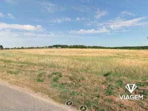 Prodej podílu pole, Oleška, 1798 m2