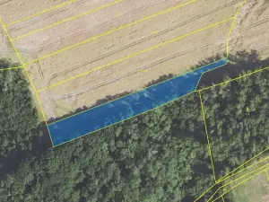 Prodej pole, Ptice, 2877 m2