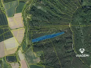 Prodej podílu lesa, Hřivice, 5452 m2