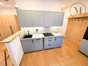 Pronájem bytu 1+kk, České Budějovice, Družstevní, 30 m2