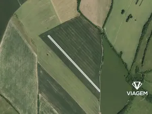 Prodej podílu pole, Velká nad Veličkou, 1318 m2