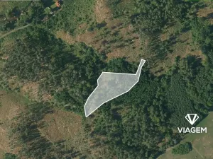 Prodej podílu lesa, Petráveč, 609 m2