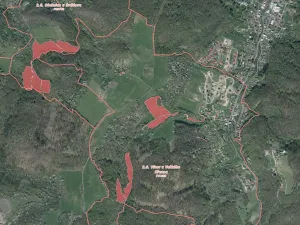 Prodej louky, Velké Březno, 40496 m2