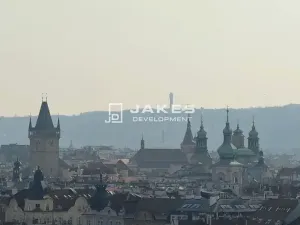 Prodej bytu 1+kk, Praha - Holešovice, 19 m2