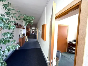 Pronájem kanceláře, Brno - Lesná, Nejedlého, 19 m2