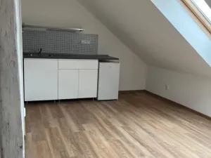 Pronájem bytu 1+kk, Olomouc, Zeyerova, 19 m2