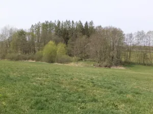 Prodej pole, Mezno - Stupčice, 8388 m2