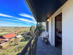 Prodej chaty, Vysoké Mýto, Vinice, 17 m2