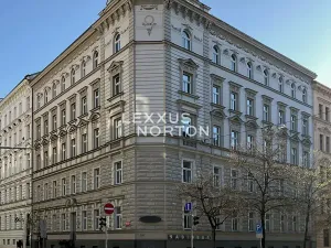 Prodej bytu 2+kk, Praha - Nové Město, Wenzigova, 50 m2