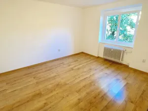 Pronájem bytu 1+1, Teplice, Ruská, 27 m2