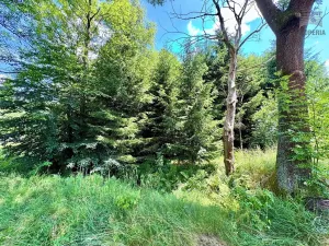 Prodej chalupy, Sněžné, 200 m2