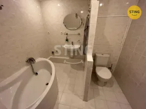 Pronájem bytu 3+kk, Ostrava, Opavská, 58 m2