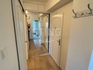 Pronájem bytu 3+kk, Ostrava, Opavská, 58 m2