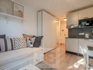 Pronájem bytu 1+kk, Praha - Vršovice, Kubánské náměstí, 19 m2