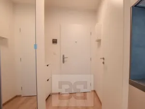 Pronájem bytu 1+kk, Praha - Vršovice, Kubánské náměstí, 19 m2