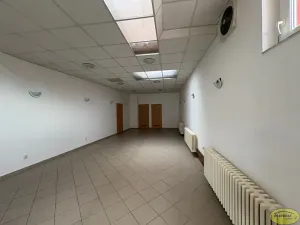 Prodej obchodního prostoru, Bystřice pod Hostýnem, Přerovská, 420 m2
