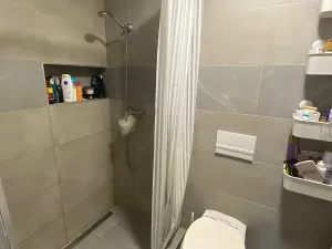 Prodej obchodního prostoru, Bystřice pod Hostýnem, Přerovská, 420 m2