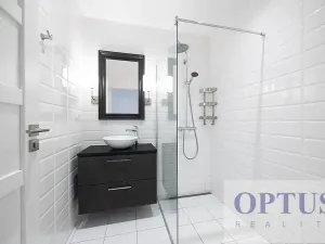 Pronájem bytu 6+kk a větší, Praha - Staré Město, Dušní, 218 m2