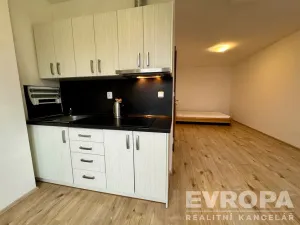 Pronájem bytu 1+kk, Plzeň - Jižní Předměstí, Politických vězňů, 33 m2