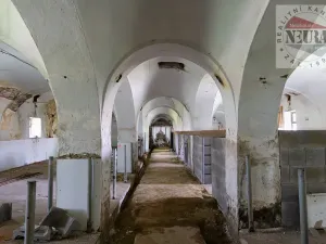 Prodej zemědělského objektu, Okrouhlice, Valečov, 25561 m2