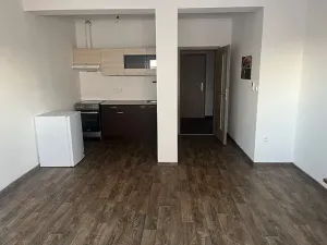 Pronájem bytu 1+kk, České Budějovice, Zavadilka, 31 m2