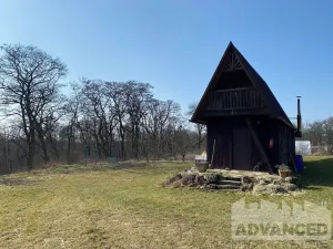 Prodej chaty, Velké Všelisy, 24 m2