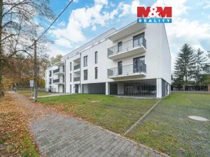 Pronájem bytu 1+kk, Třemošná, Školní, 32 m2