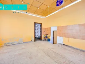 Prodej obchodního prostoru, Olomouc - Nová Ulice, Resslova, 38 m2