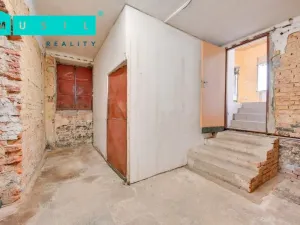 Prodej obchodního prostoru, Olomouc - Nová Ulice, Resslova, 38 m2