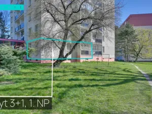 Pronájem bytu 3+1, Olomouc - Nová Ulice, Pionýrská, 60 m2