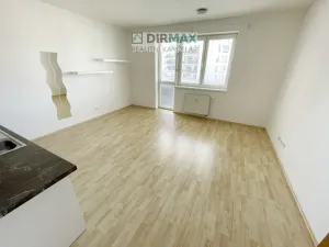 Pronájem bytu 1+kk, Plzeň - Jižní Předměstí, Goldscheiderova, 39 m2